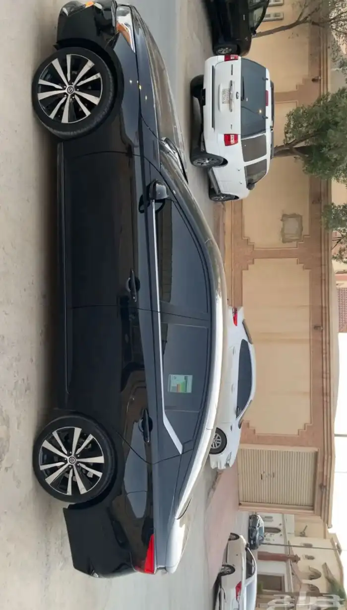 جنوط التيما استبدال 1