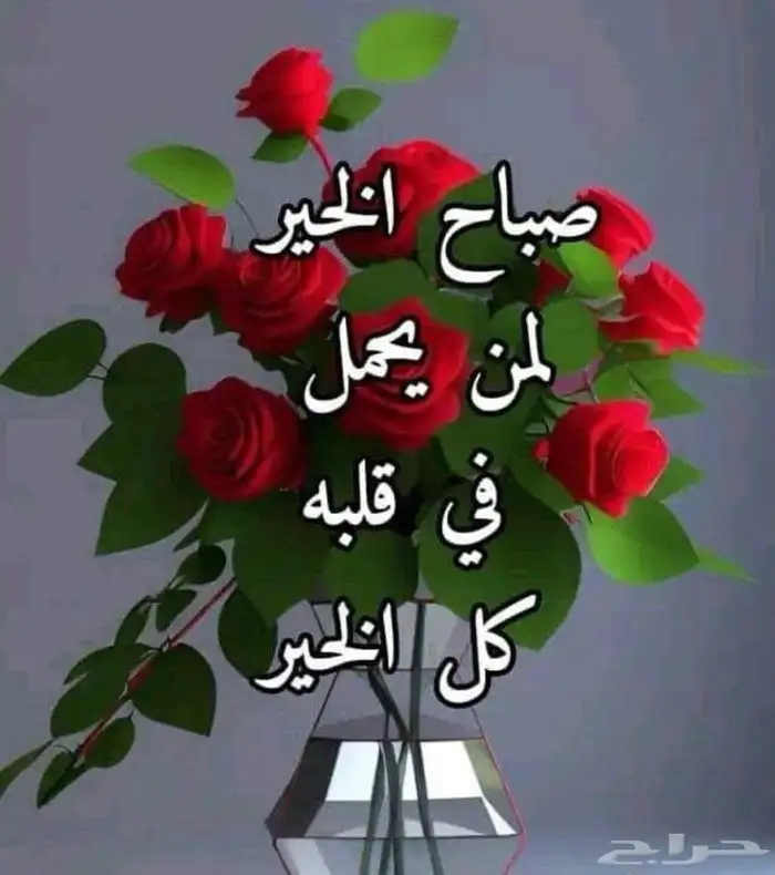 الا عنده اثاث م يحتاج عليها يتواصل معايا شقتي فاضيه واحتاج 0