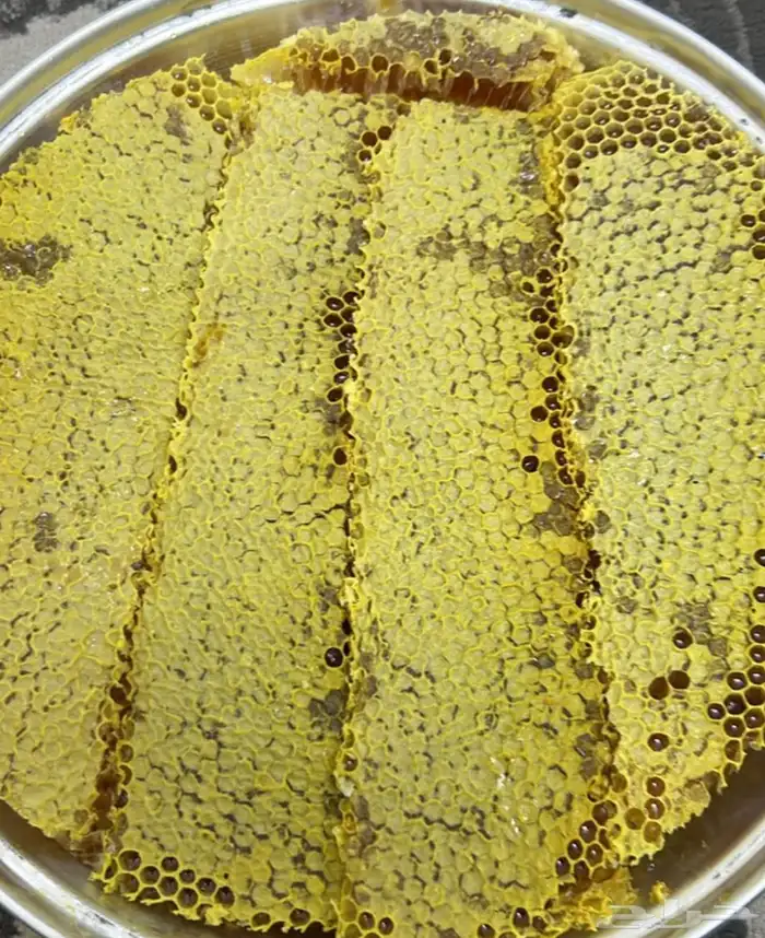 عسل سدر مع القرض مناحل ابو عبدالله 0