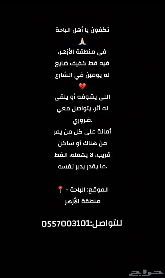 قط ضائع مكافأه لمن يجده 0