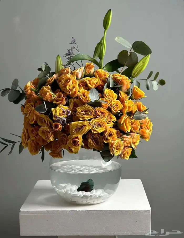 ورد وهدايا خميس مشيط ابها توصيل بنفس اليوم 14