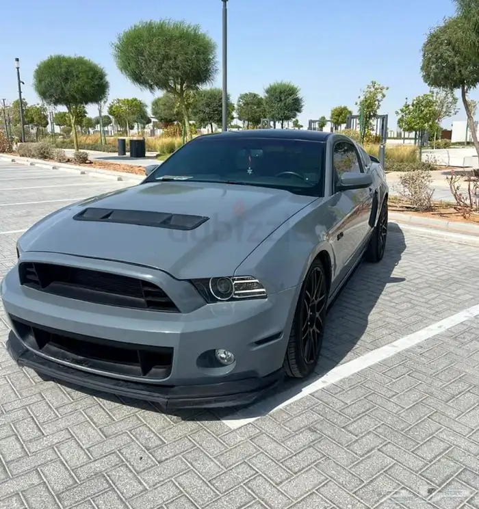 موستنق موستنج 2013 3
