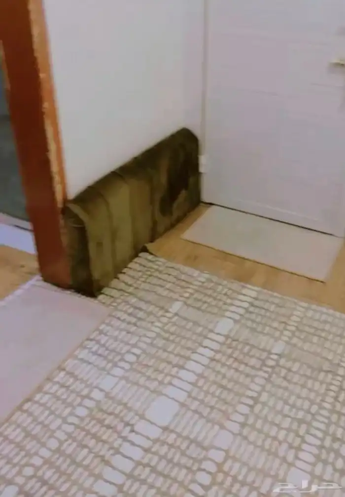 عفش بيت نظيف 2