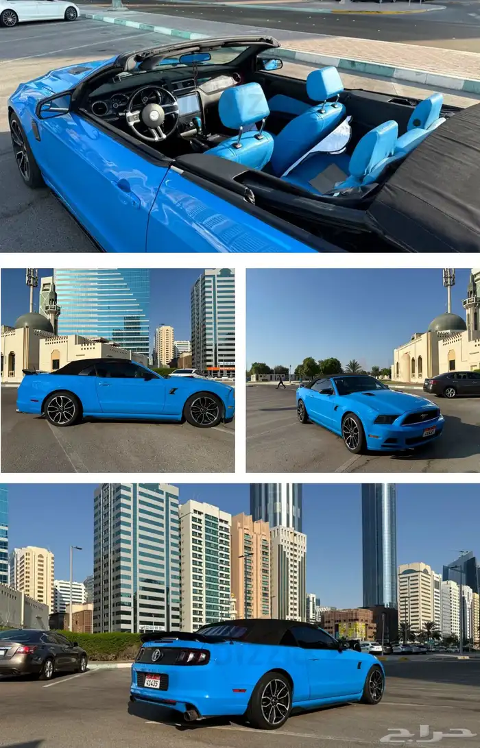 موستنق موستنج 2013 1