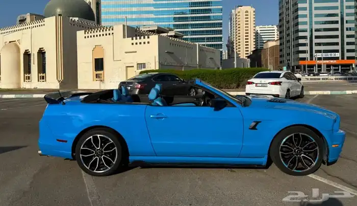 موستنق موستنج 2013 0