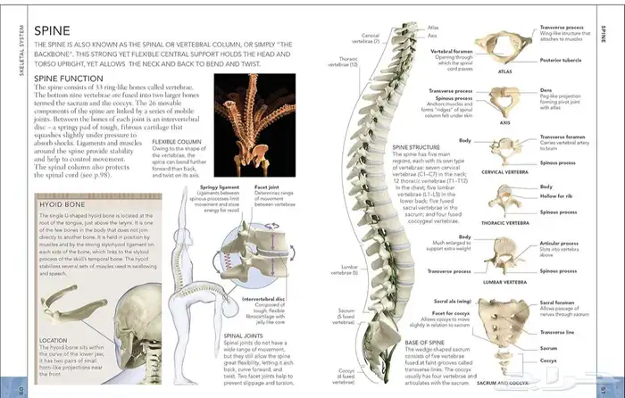 الكتاب الاول عن الطب الشرعي والثاني عن جسم الانسان 3