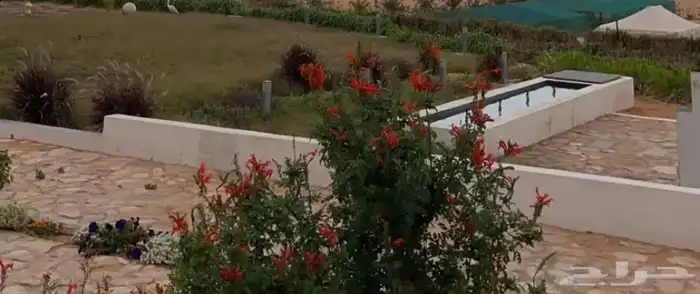 مطلوب مزرعة للإيجار السنوي 1
