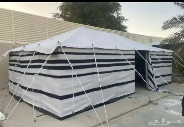 بيوت الشعر البيض 6