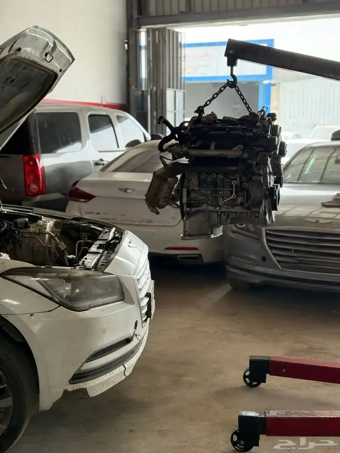 مكاين جنسس ضمان سنه 5