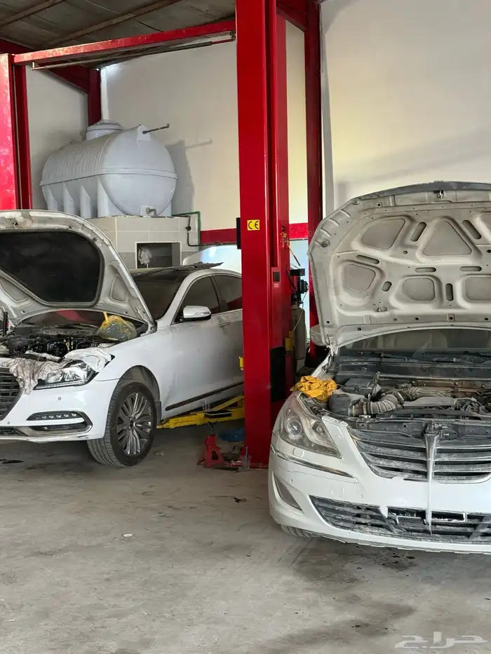 مكاين جنسس ضمان سنه 6