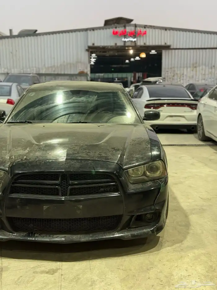 مكاين دوج ضمان سنه 5