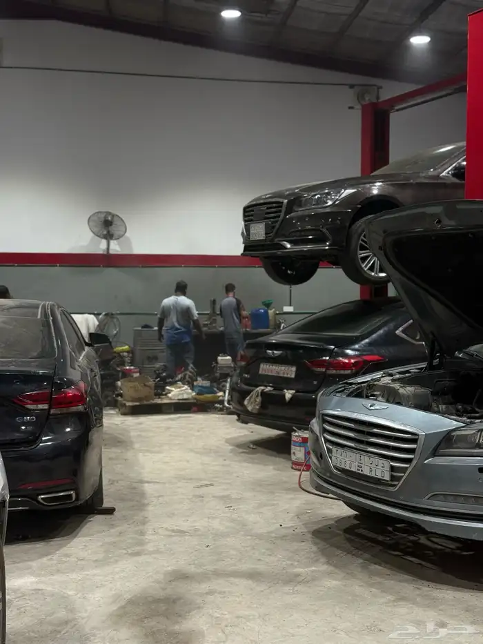 مكاين جنسس ضمان سنه 8