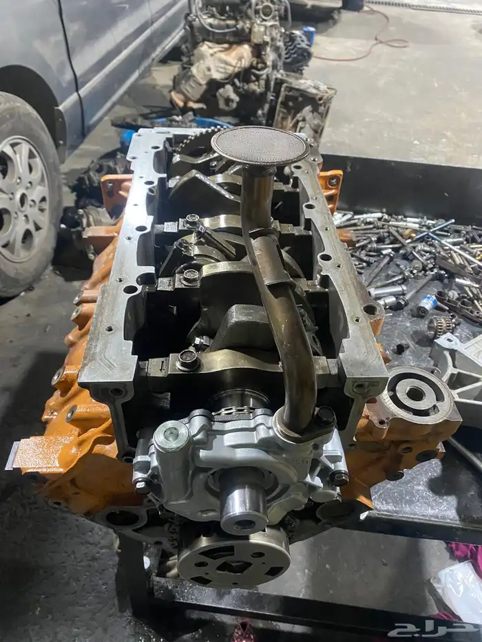 مكاين دوج ضمان سنه 8