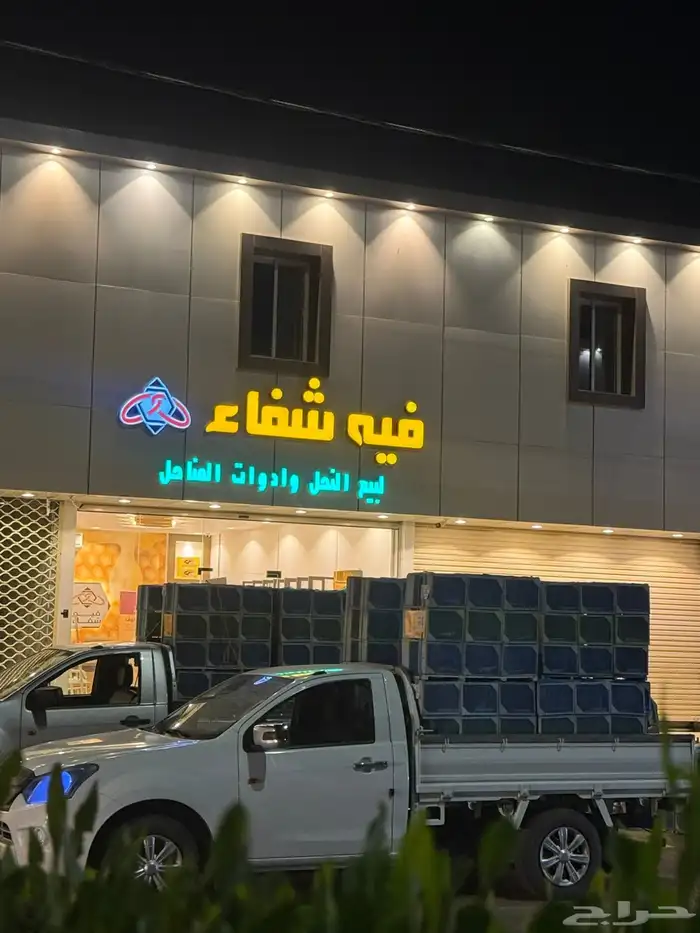 نحل مصري مرزوم 2