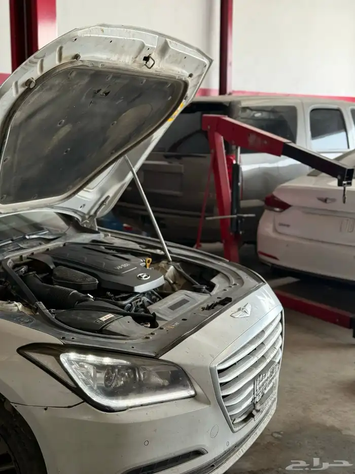 مكاين جنسس ضمان سنه 7