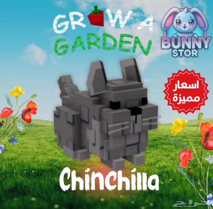 Chinchilla   شينشيلا   Grow A Garden 0