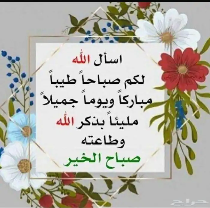 اسطبل خيل لايجار حوش بامخطط الصفا 0