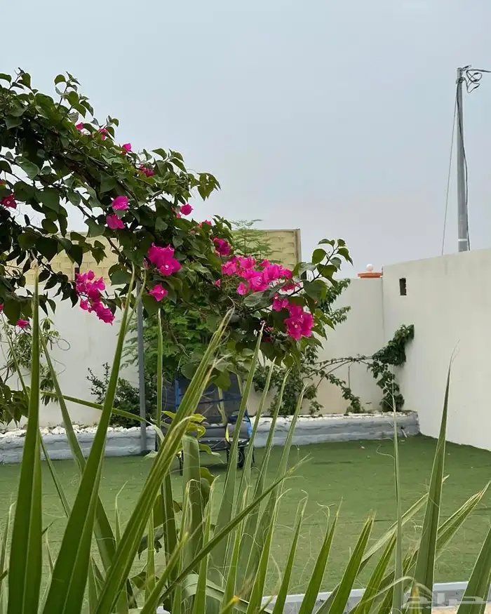 سياحة شتوية 3