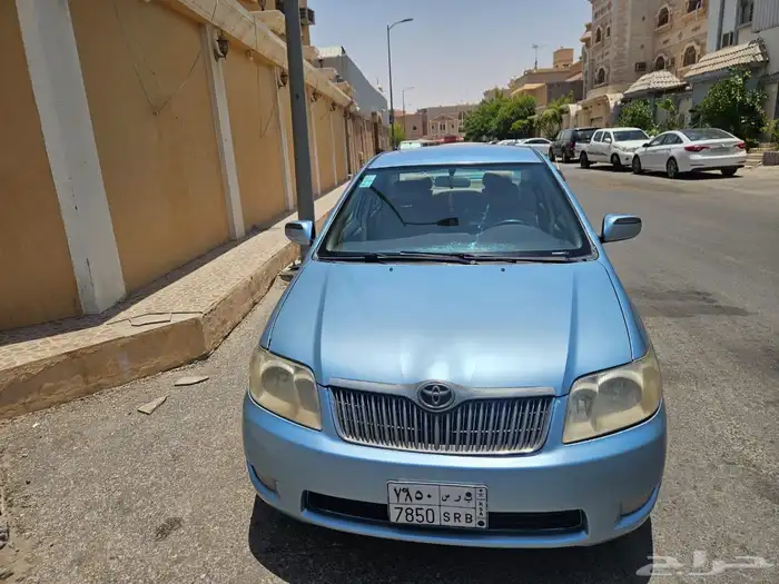 الاحساء 4