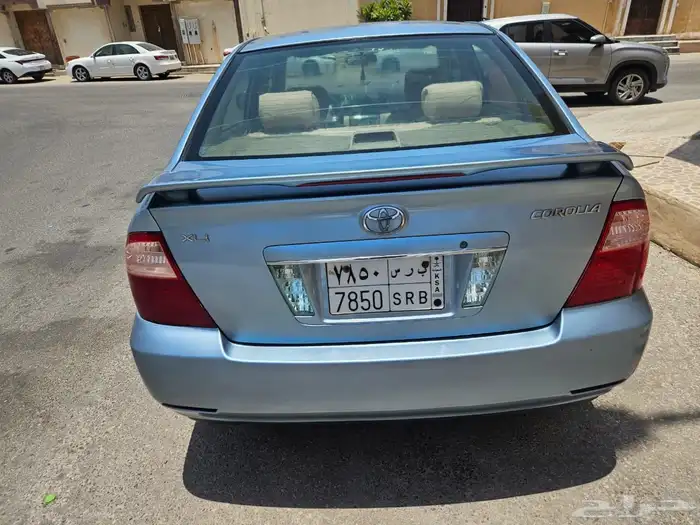 الاحساء 3
