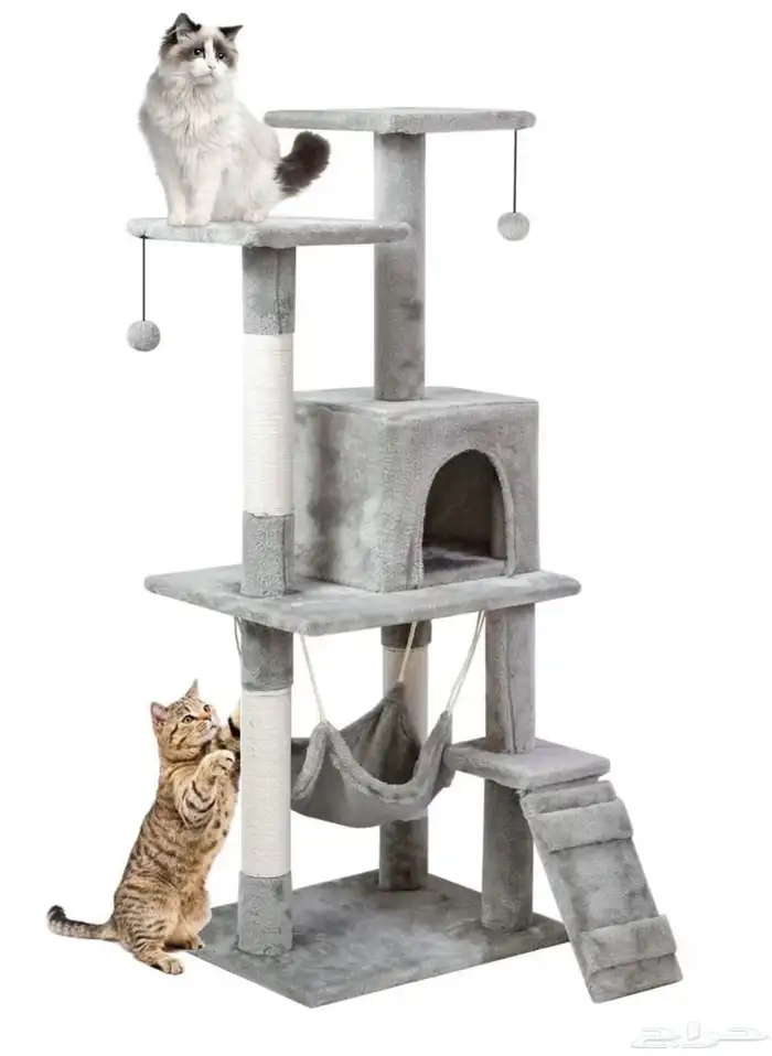 بيت قطط كبير 3