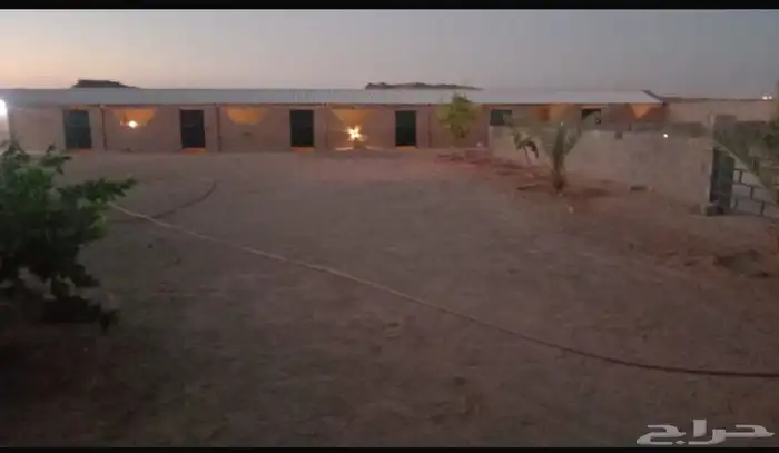 اسطبل للبيع 3