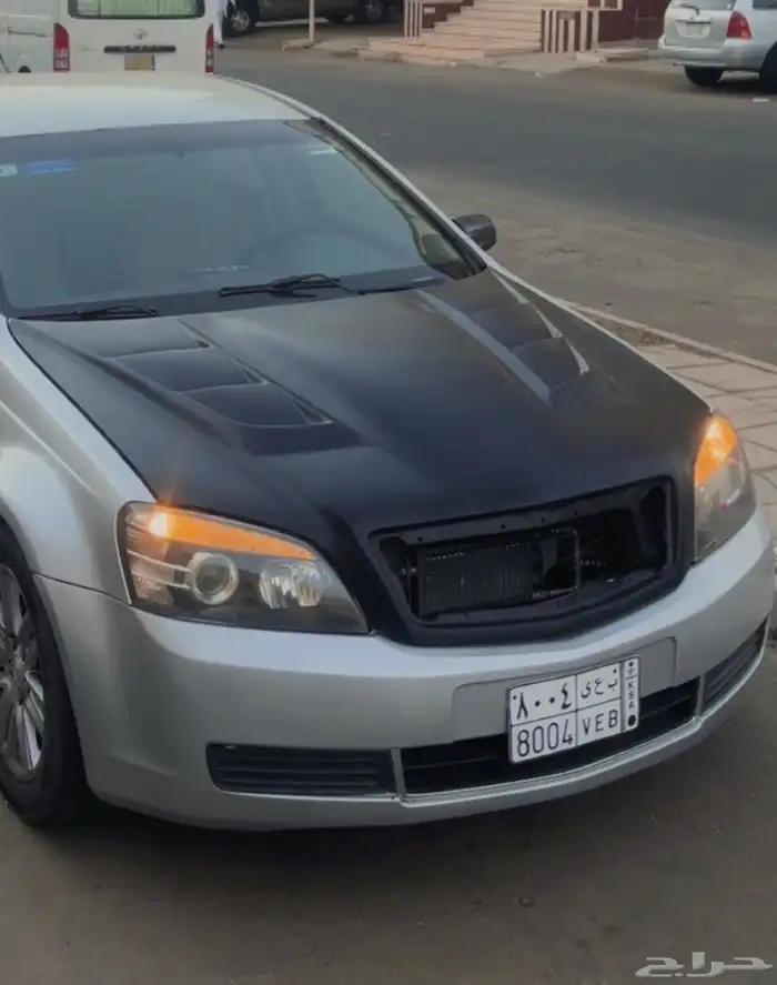 كبوت قفاري للبيع 0