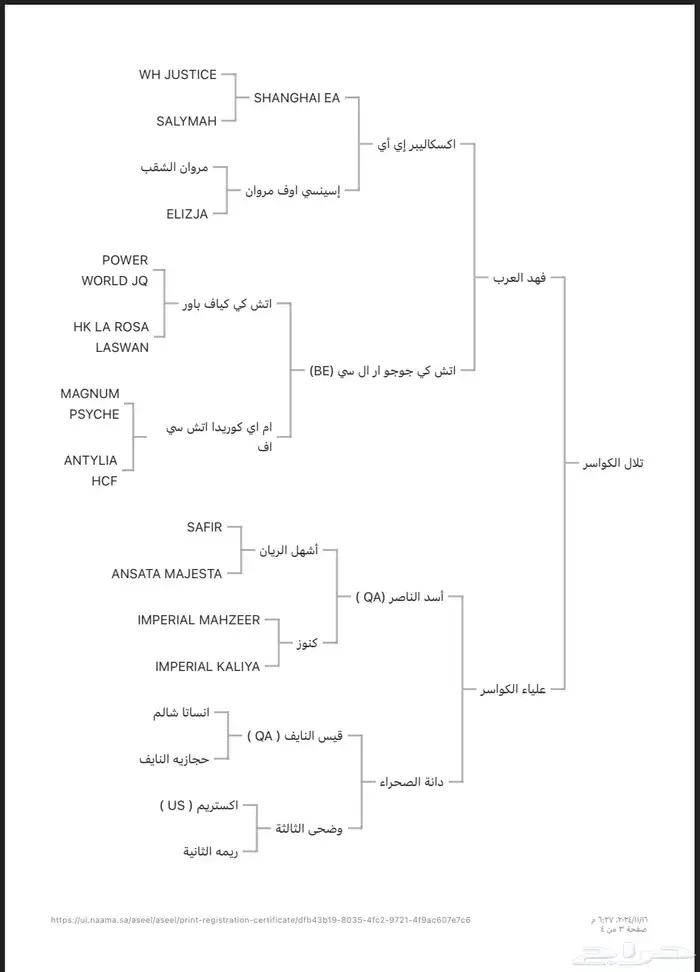 حصان عربي اصيل صقلاوي كفو 5