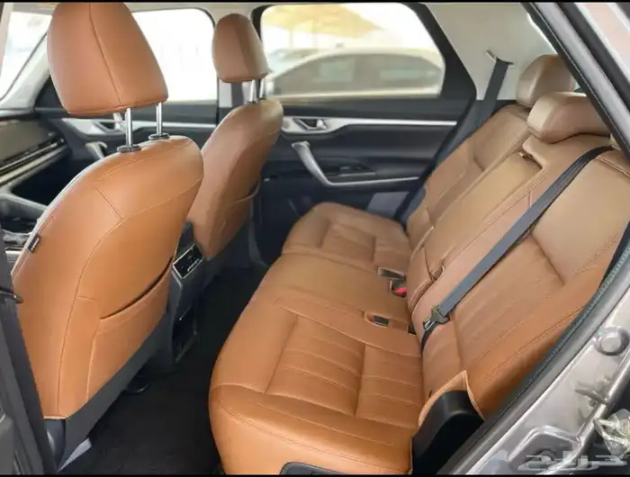 لللبيع شانجان cs95 بلاتينيوم 2022 18