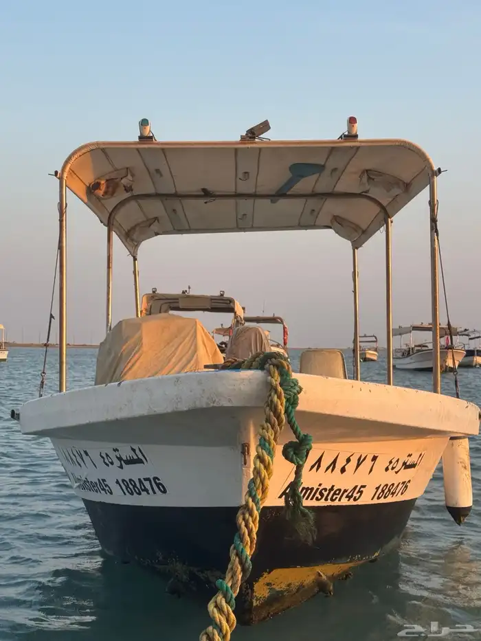 قارب الضاعن 5