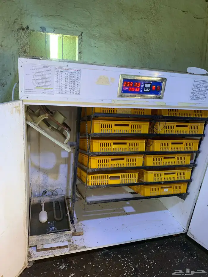 فقسة بيض الحور المتقدمه 1056 4