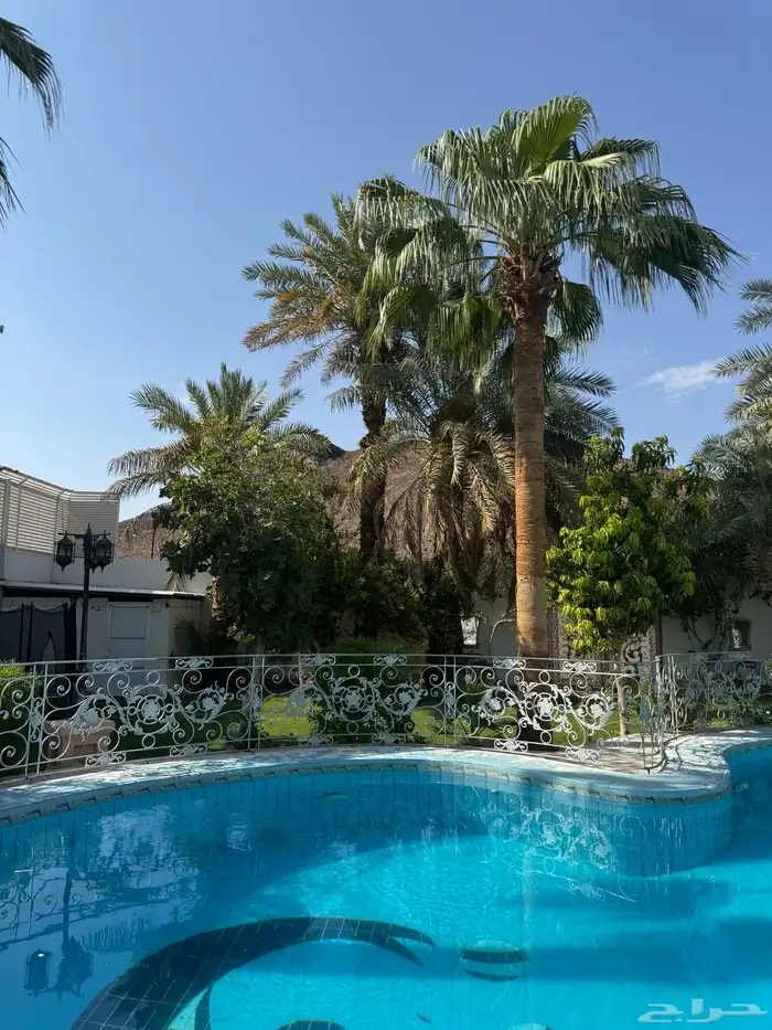 استراحة لاقينا هوم حي الجرف بمسبح كبير جد ا واشجار وزرع 21