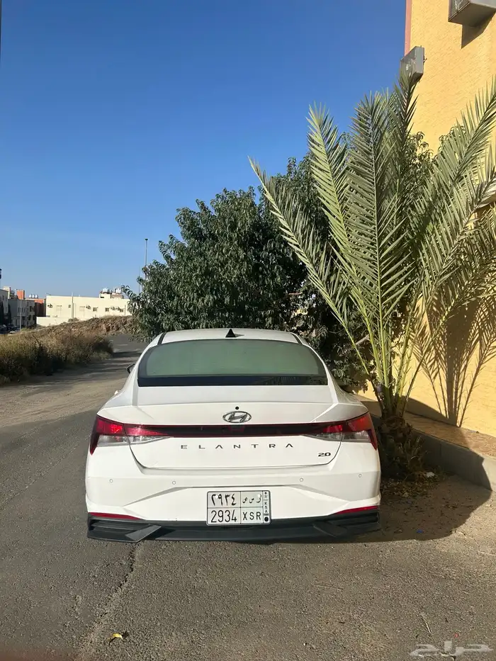 النترا 2023 2