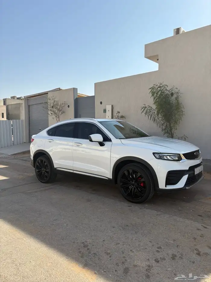 توجيلا 2023 0