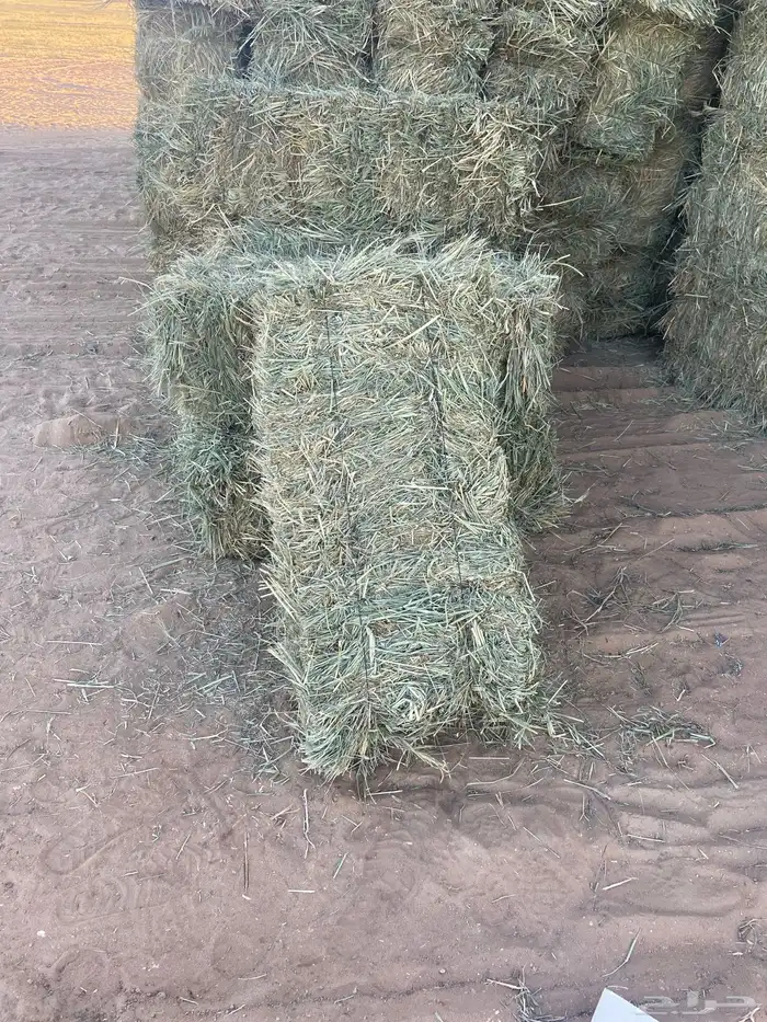 اعلاف للبيع 1