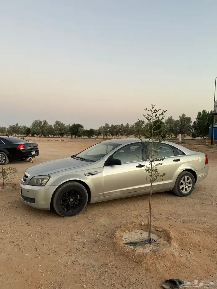 كابرس 2007 1