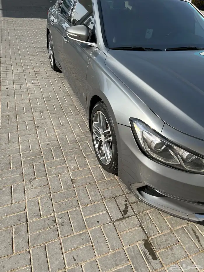 الرياض 4