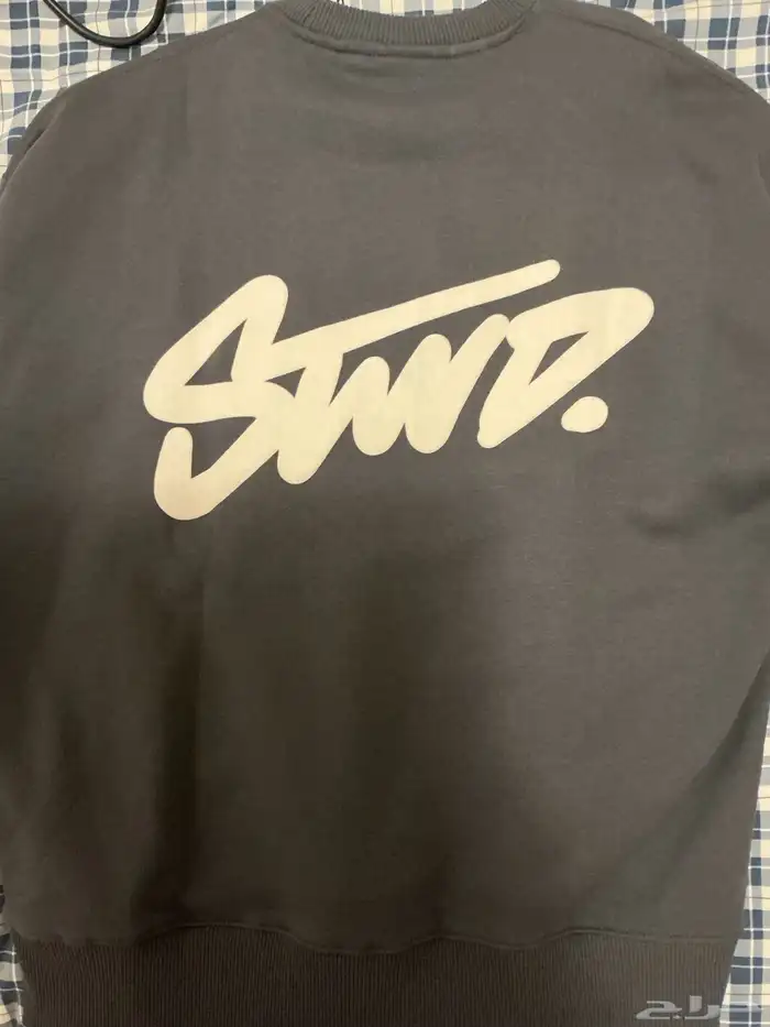 STWD Pull  BearSweater 2