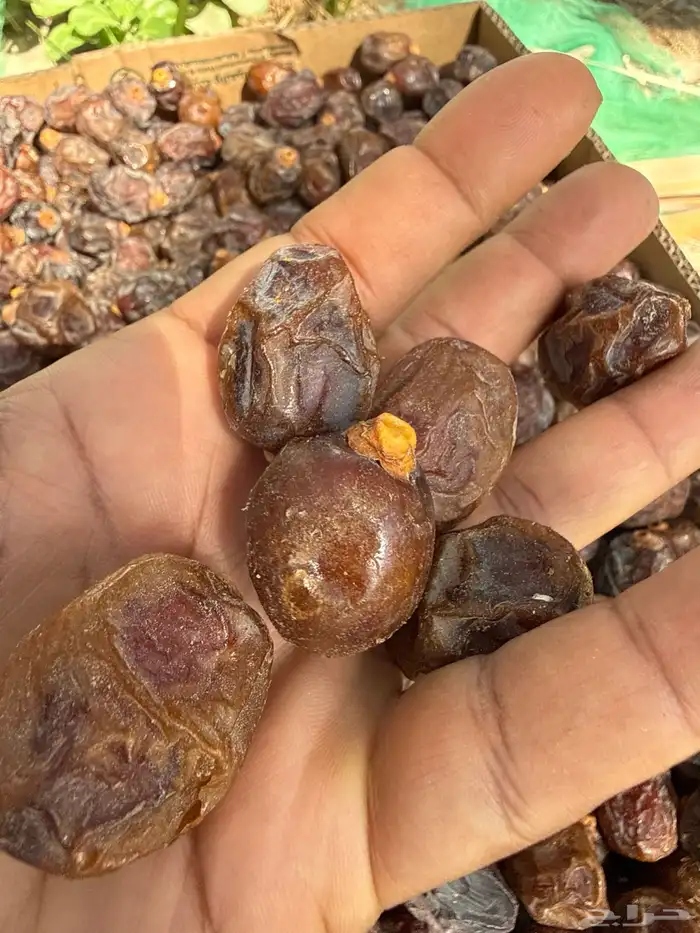 تمر رزيز فاخر حبة سودة ومضلعة 2