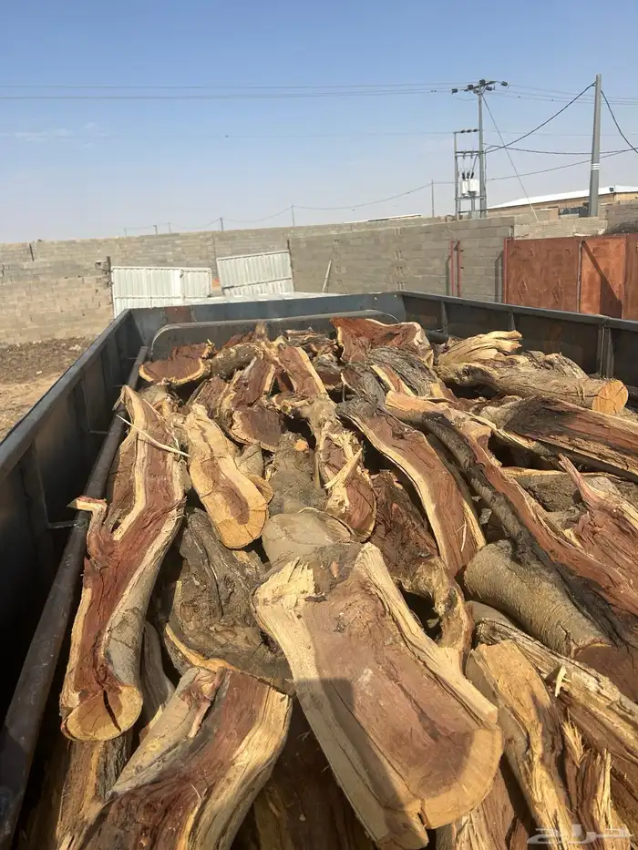 ح ط ب المدينه 1