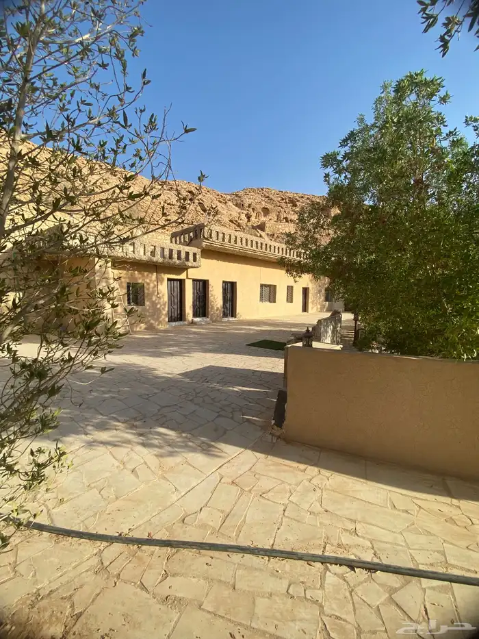 استراحة للايجار 12