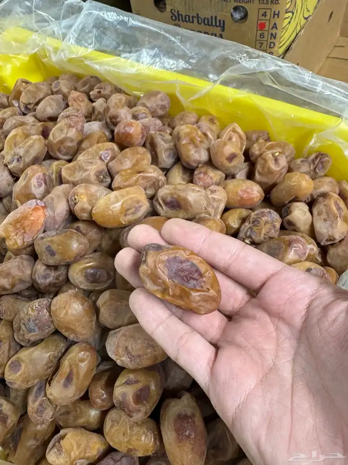 تمر خلاص أشيقر 1