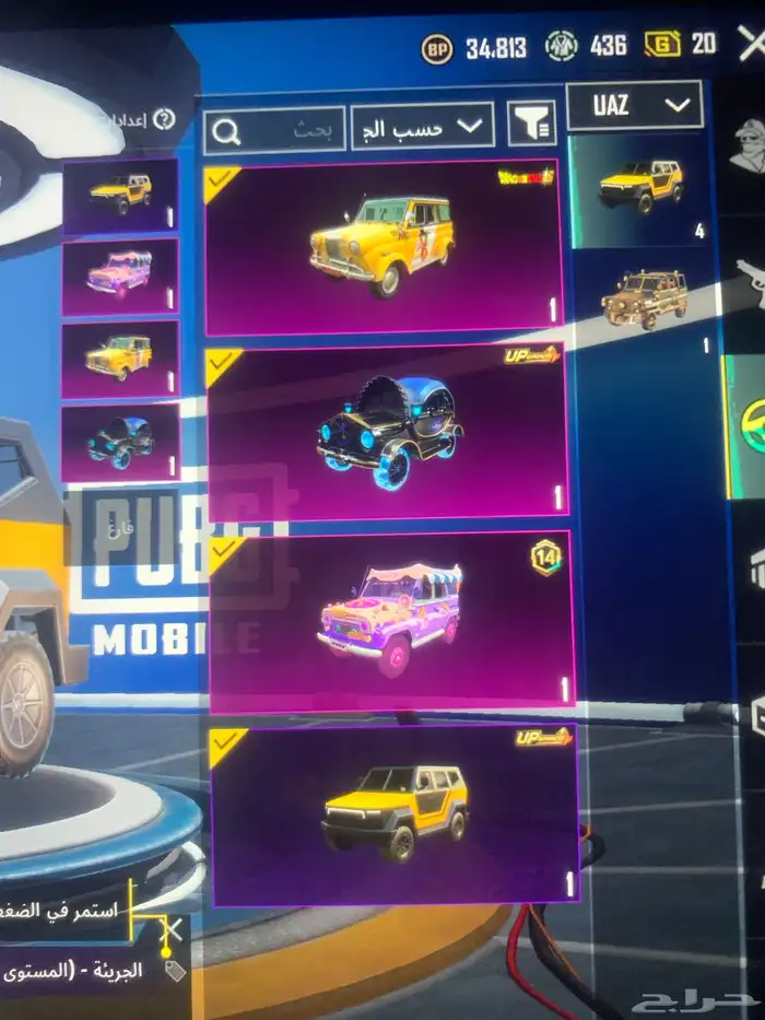 حساب ببجي فاخر 29