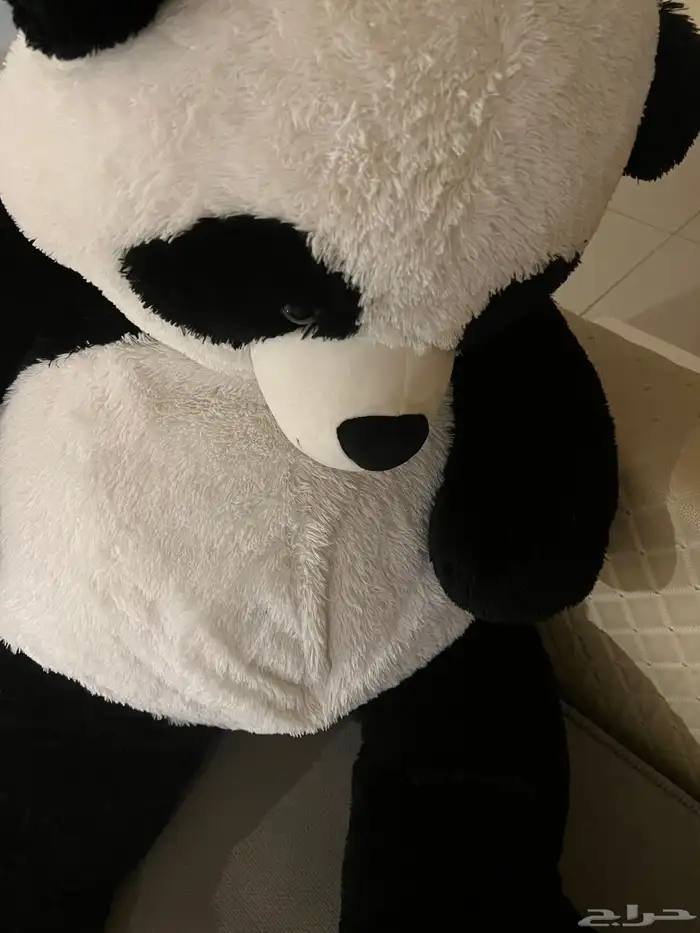 للبيع الباندا حجم كبير 0