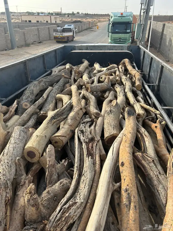 ح ط ب المدينه 5