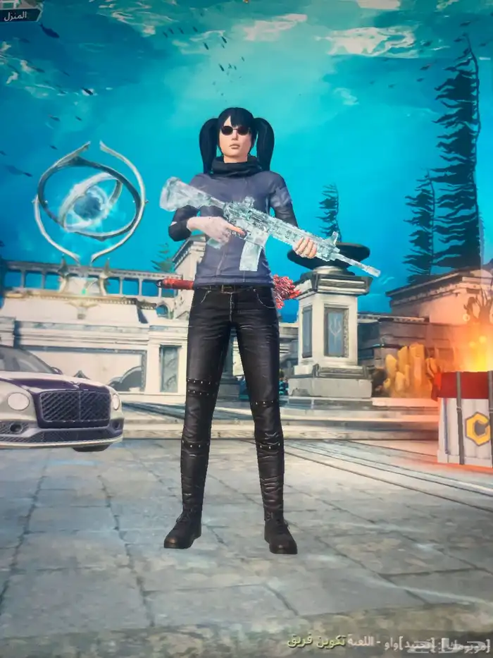 حساب ببجي فاخر 23