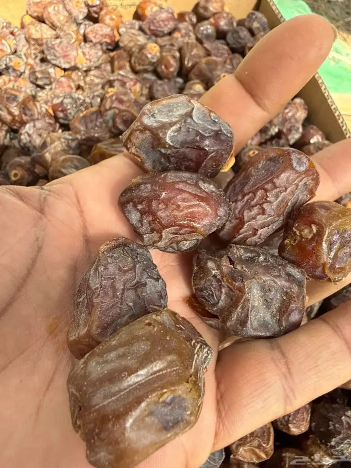 تمر رزيز فاخر حبة سودة ومضلعة 1