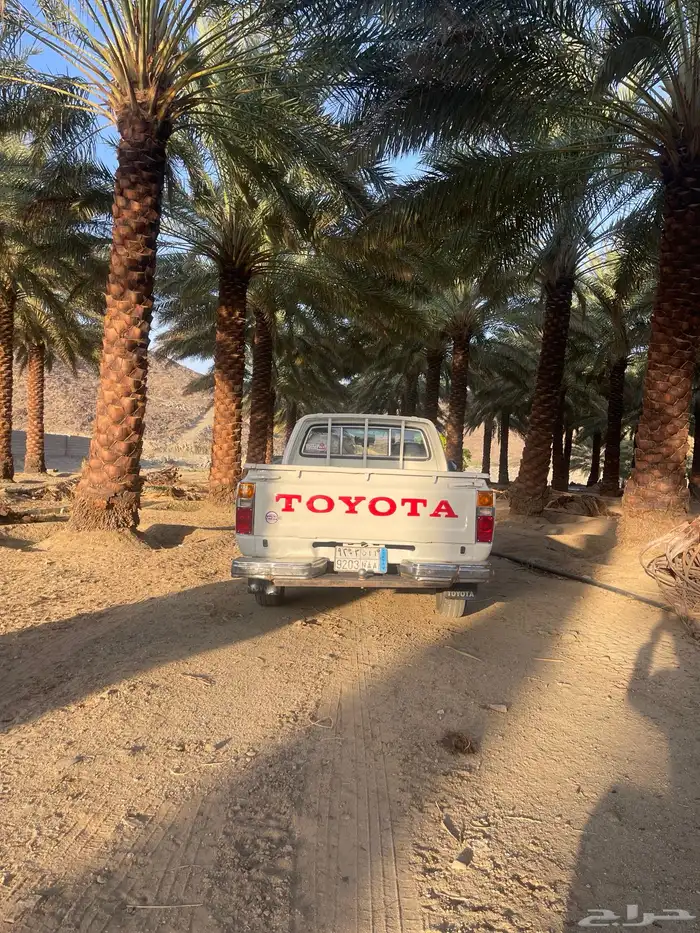 هايلوكس 82 غماره 3