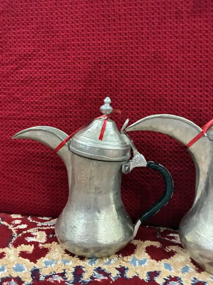 دلال بغدادي وارد مهدي صالح 5