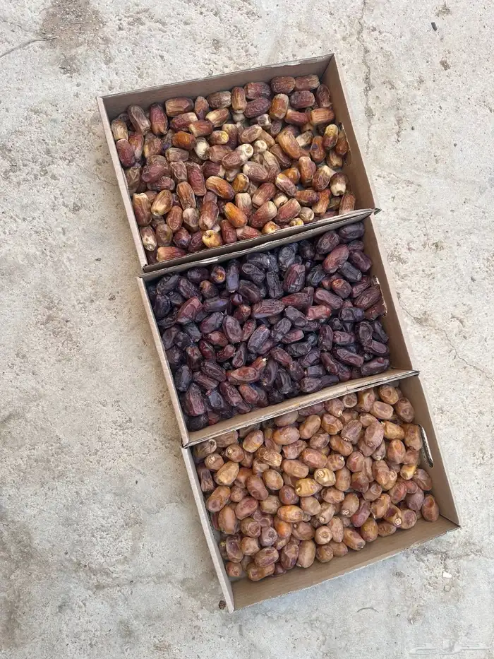 بيع تمر خلاص وخضري وصقعي 0